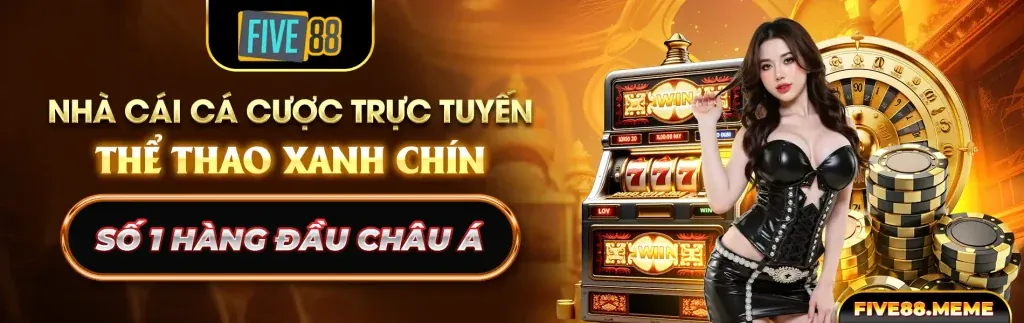 Hình ảnh chính của 28win casino Hướng Dẫn Trò Chơi