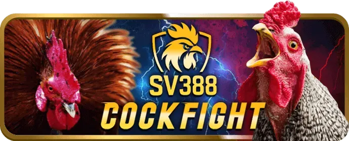 Ưu đãi hoàn trả cược thể thao hàng tuần tại 28win casino